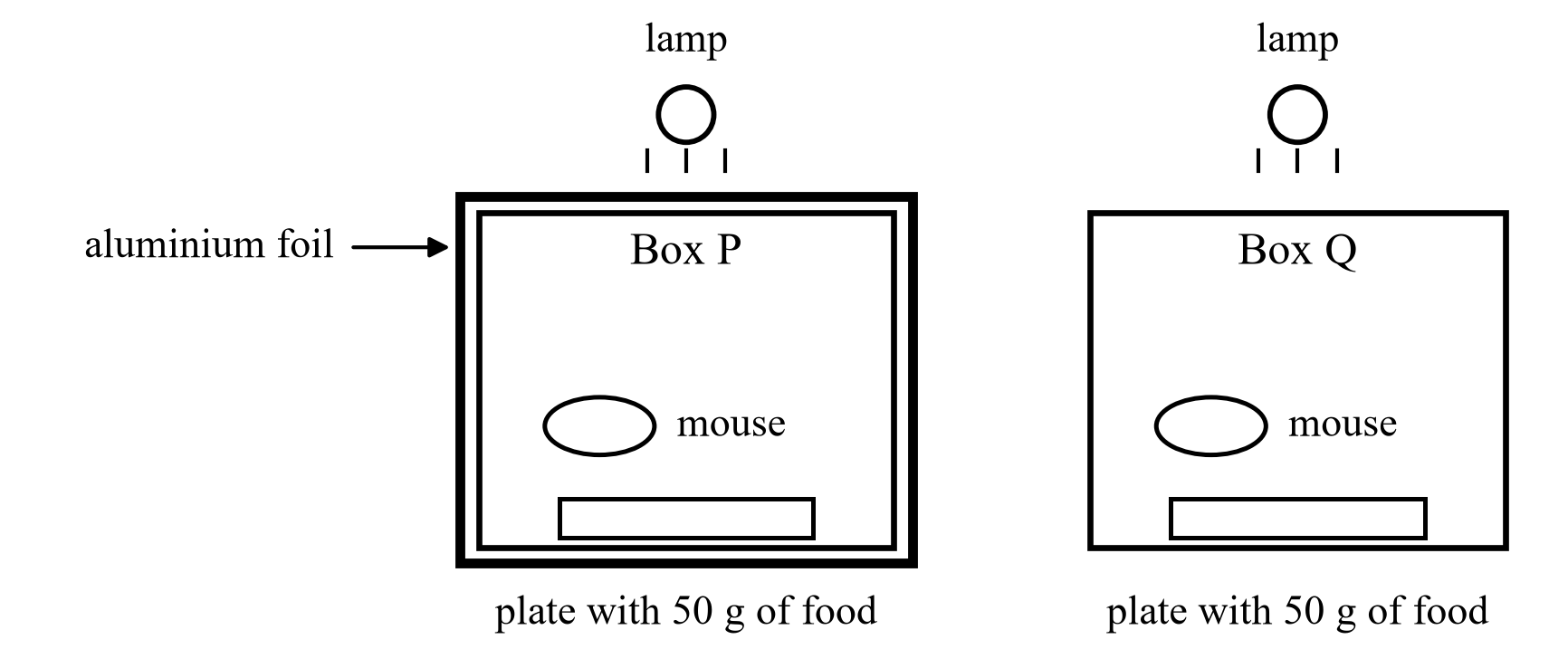 Two-box mouse investigation; both boxes contain one mouse and a plate with 50 g of food, both have a lamp above, and only Box P is covered with aluminium foil.